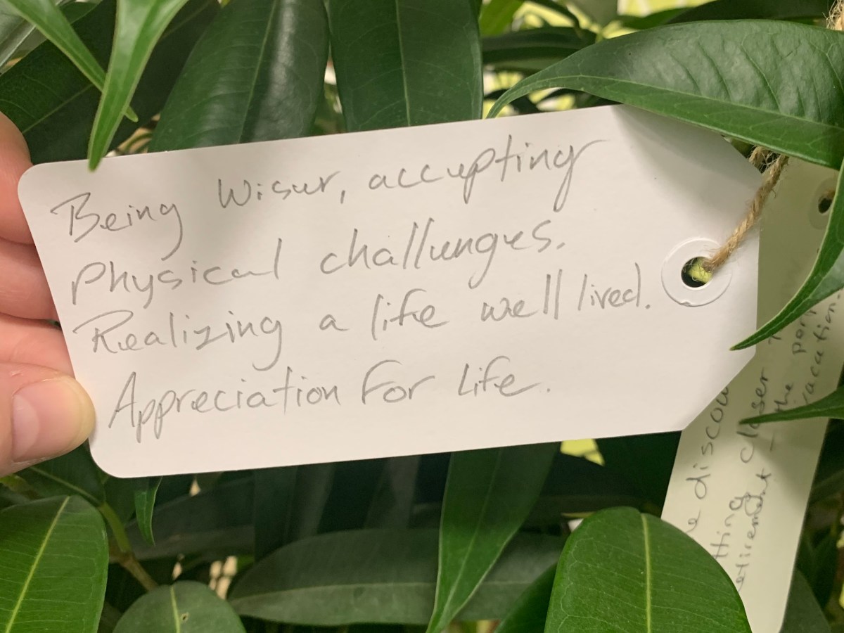 Let’s End Ageism, Creatively